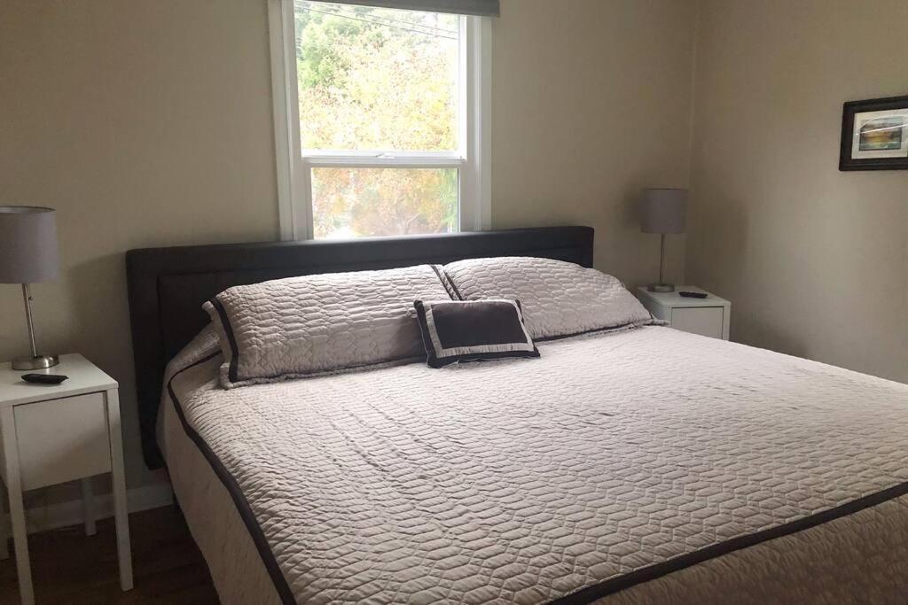 Cozy Crown Hill Carkeek Cottage W/3 Beds, Full Kitchen & Backyard In North Σιάτλ Εξωτερικό φωτογραφία